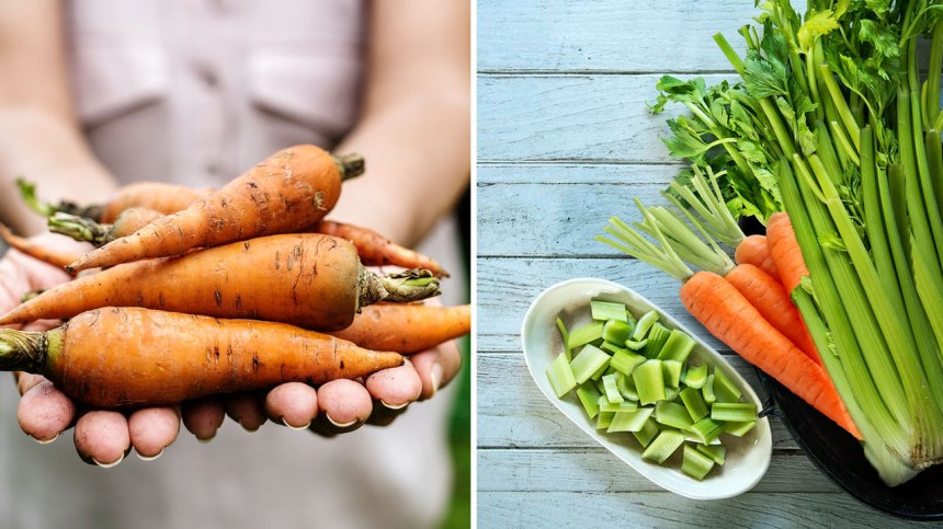 Comment conserver vos carottes et céleris pour qu’ils restent savoureux