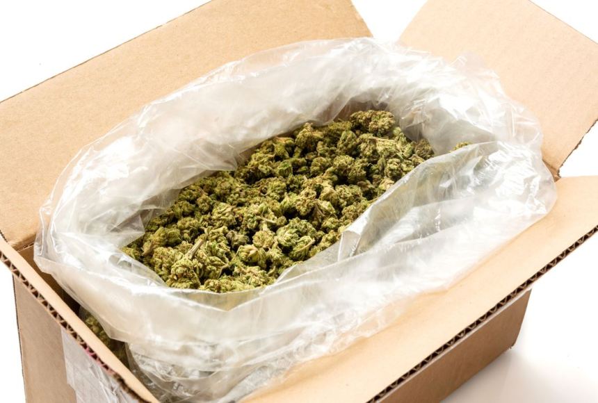 Arrêtés pour du cannabis reçu par la poste