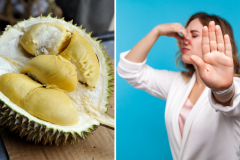 Apprivoiser le durian, ce fruit polarisant