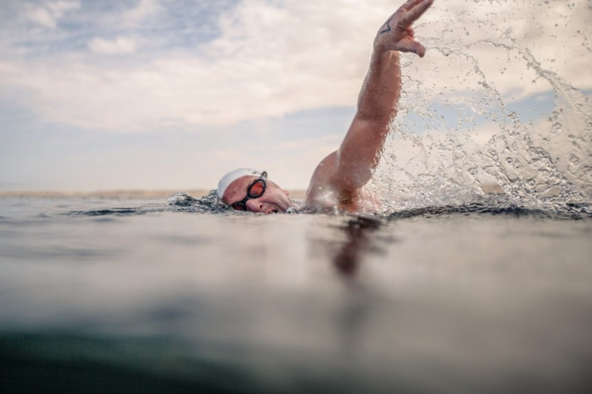 Défi de nage en eau libre pour Nicolas Knap