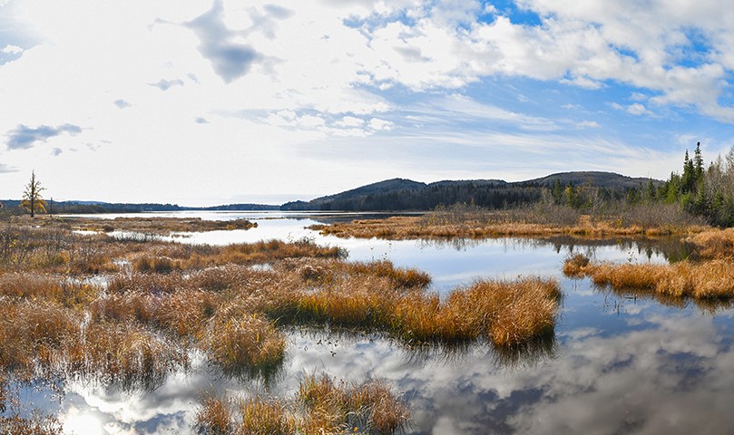 Réflexion pour assurer la conservation des milieux humides à Québec